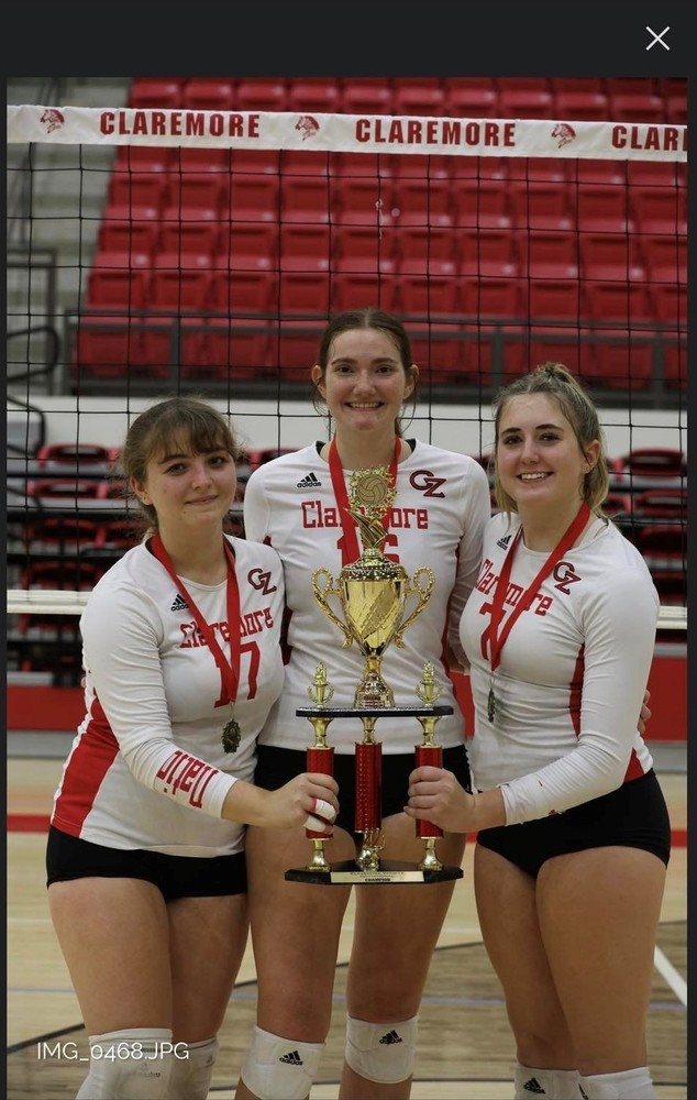 Volleyball players