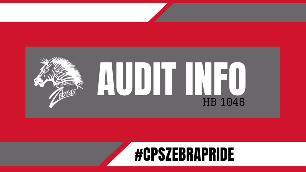 Audit Information Title Slide