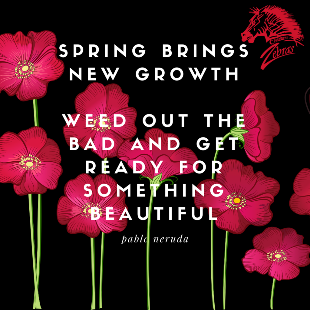 spring bring new growth