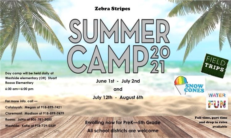 zebra stripes Summer camp