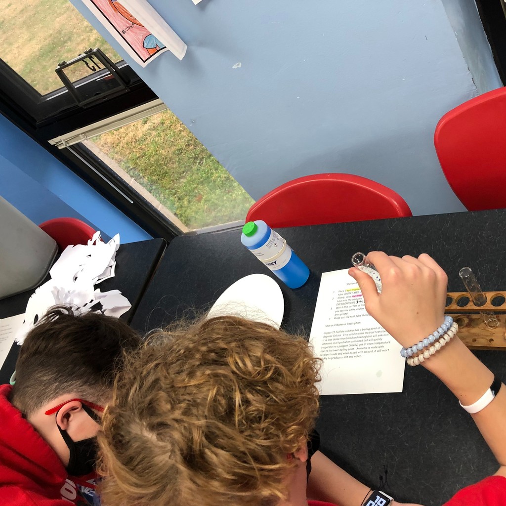 Mrs. Tietz's High School Physical Science class has been studying chemical and physical changes.