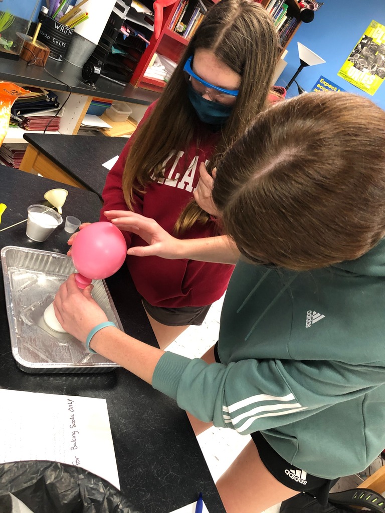 Mrs. Tietz's High School Physical Science class has been studying chemical and physical changes.