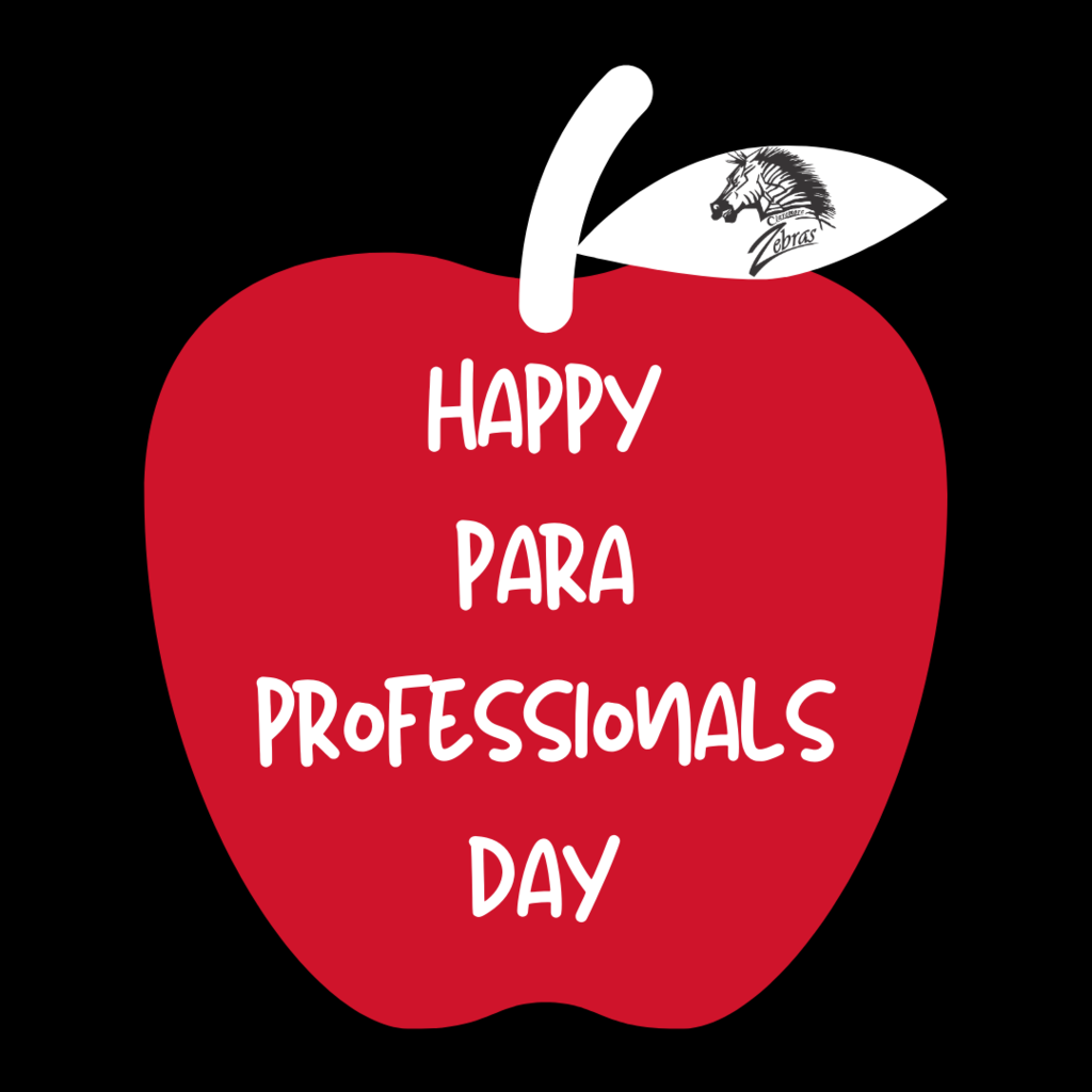 para professional day