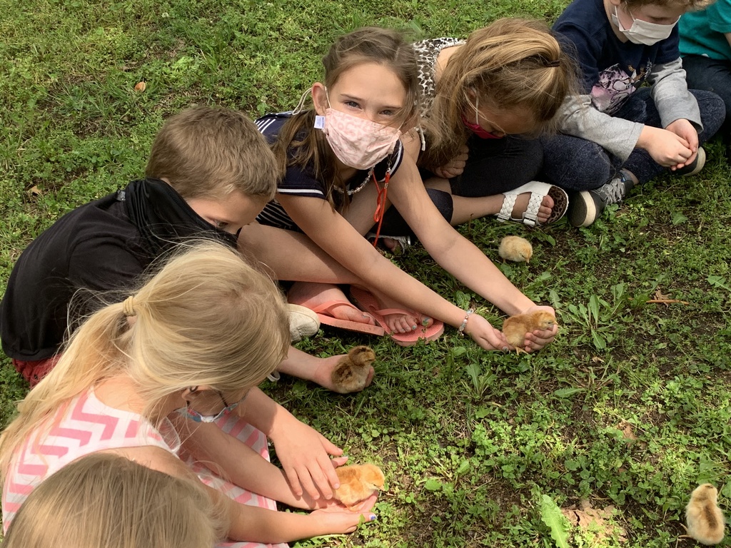 Happiness Hatched in 1st Grade 2021-3