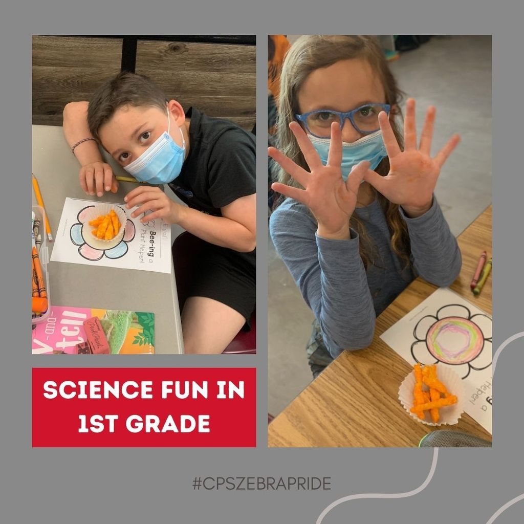 Science Fun in 1st Grade
