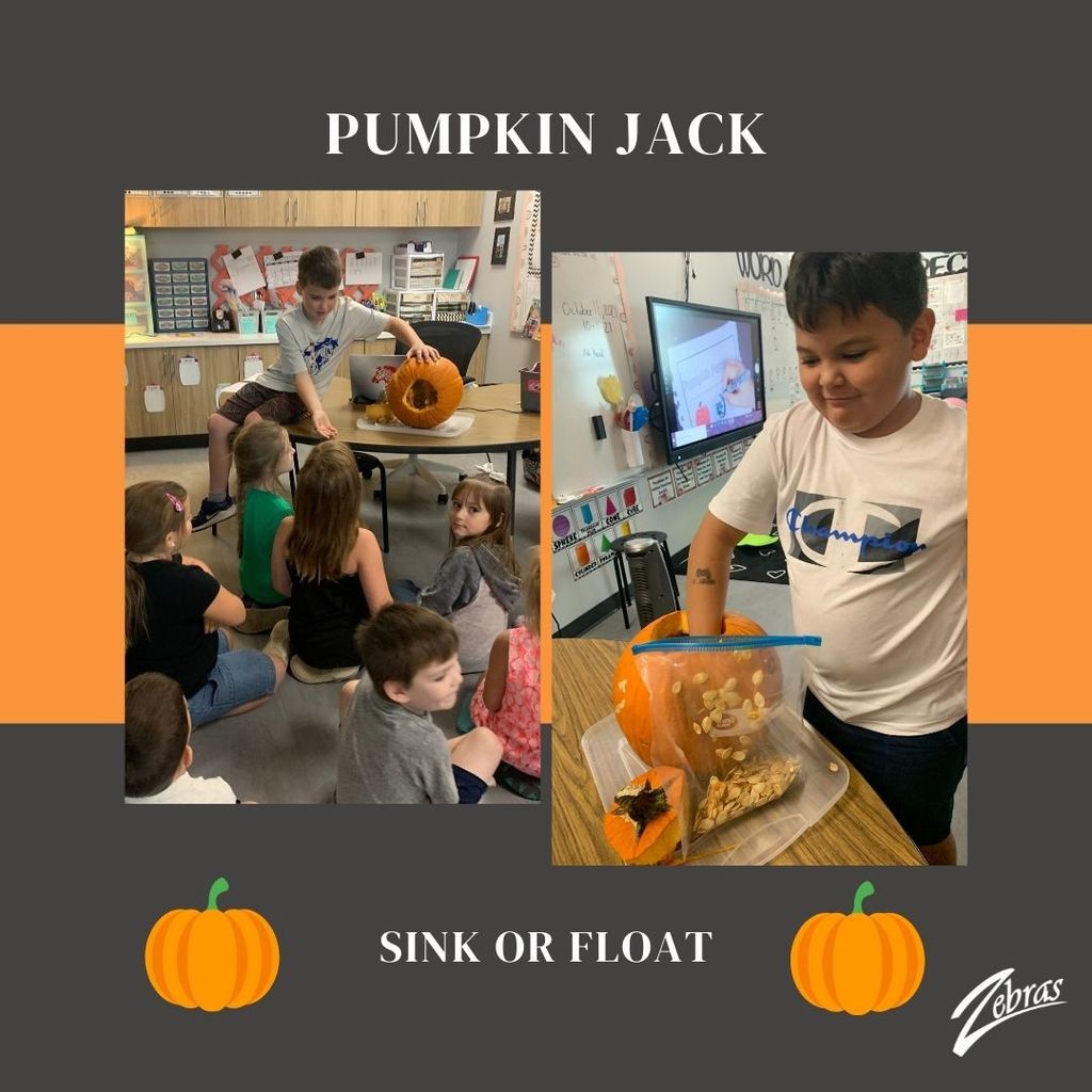 Pumpkin Jack Sink or Float