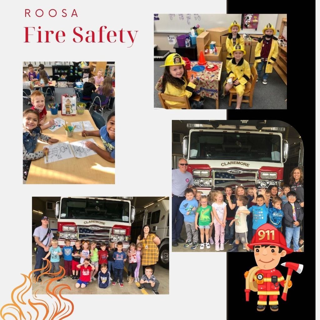 Roosa Fire Safety