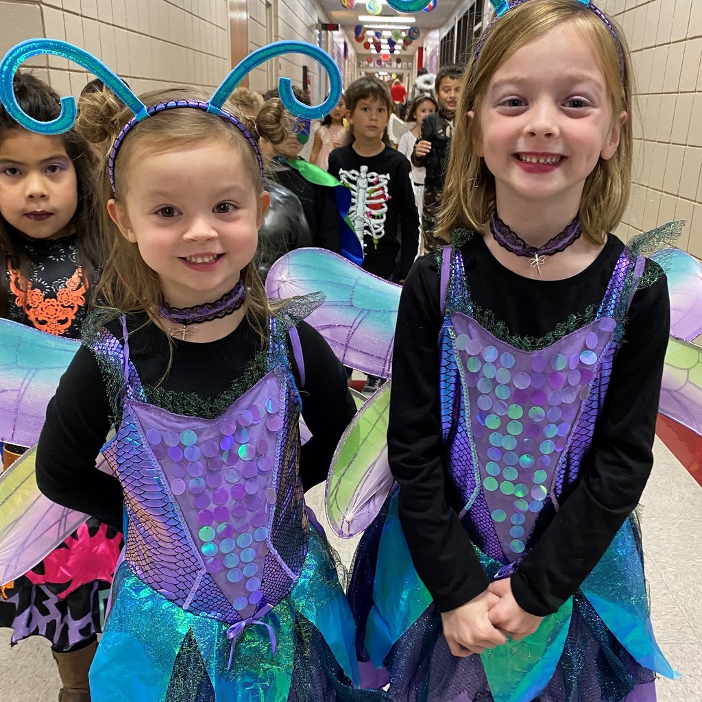 tow girls dressed as butterflys