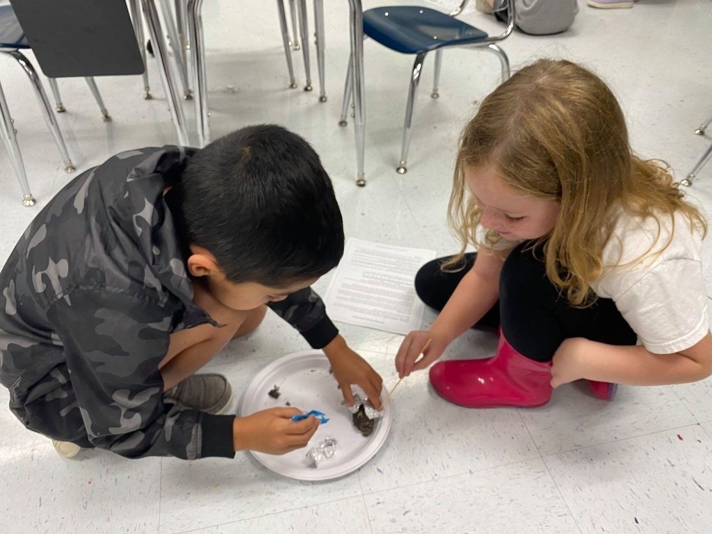two students dissecting owl pellets