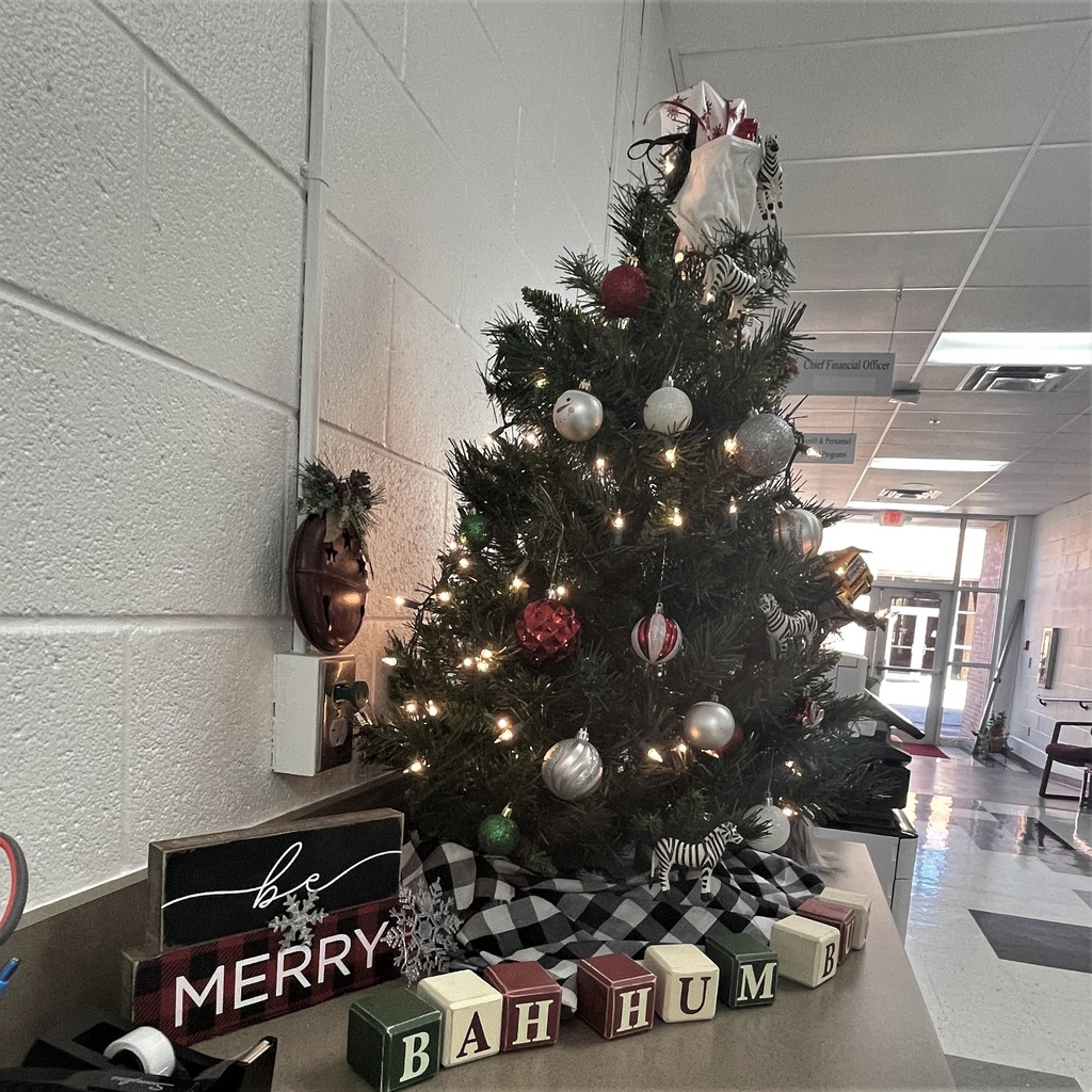 Christmas Tree w/ decorations around it
