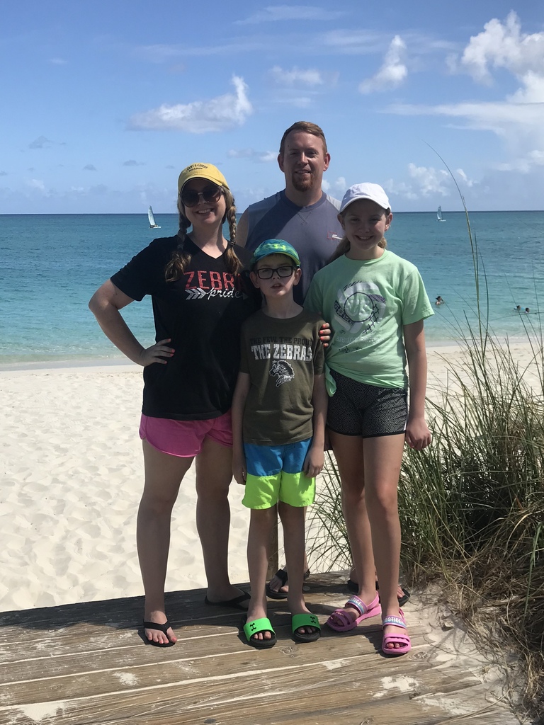 family with zebra shirts on beach