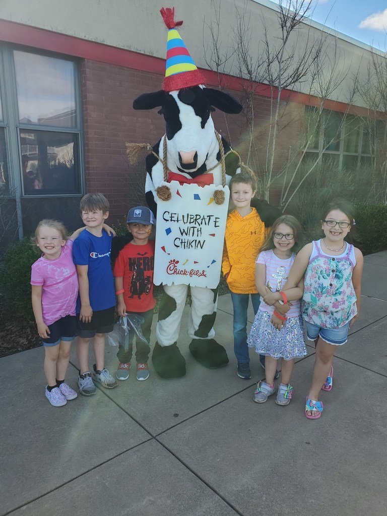 Chick Fil A cow