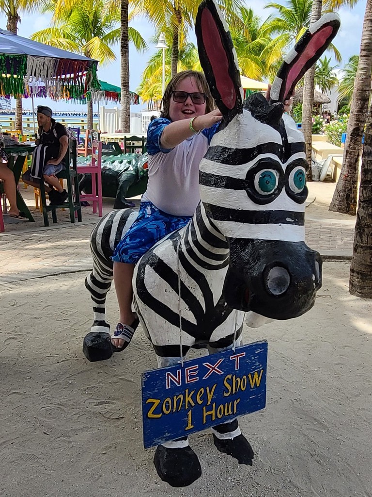 hank on a zebra