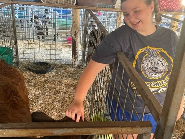 brooklyn with cows