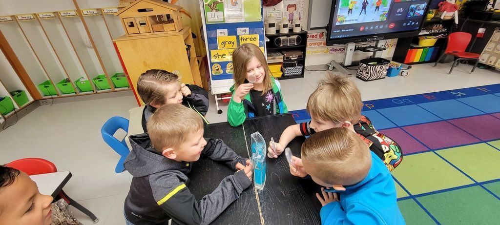 students with ant farm