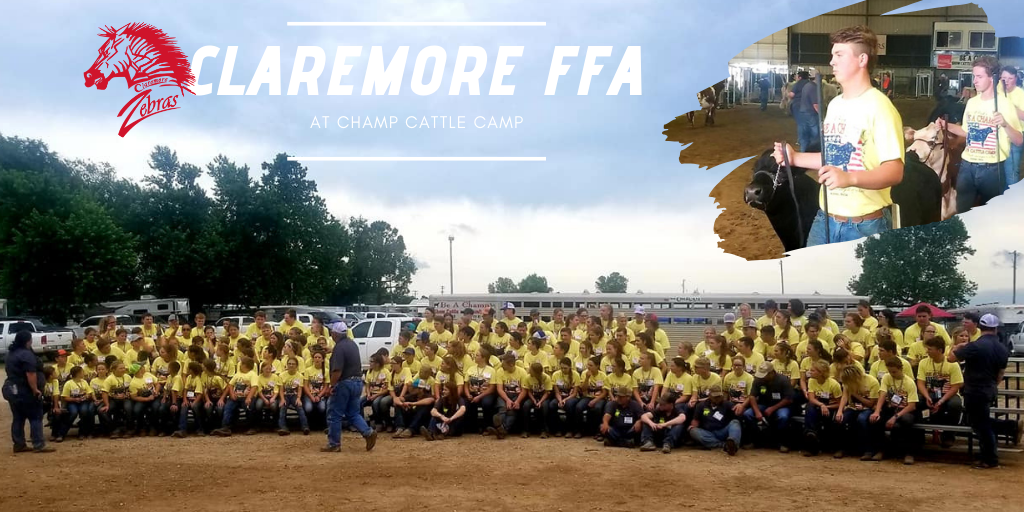 Claremore FFA Champ Cattle Camp