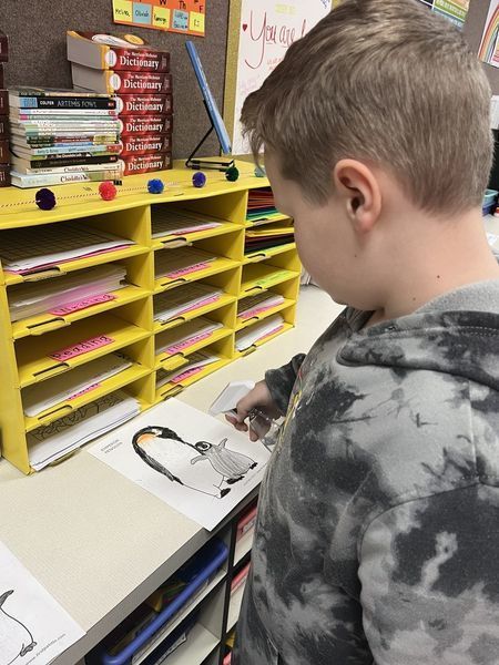 student learning about penguins