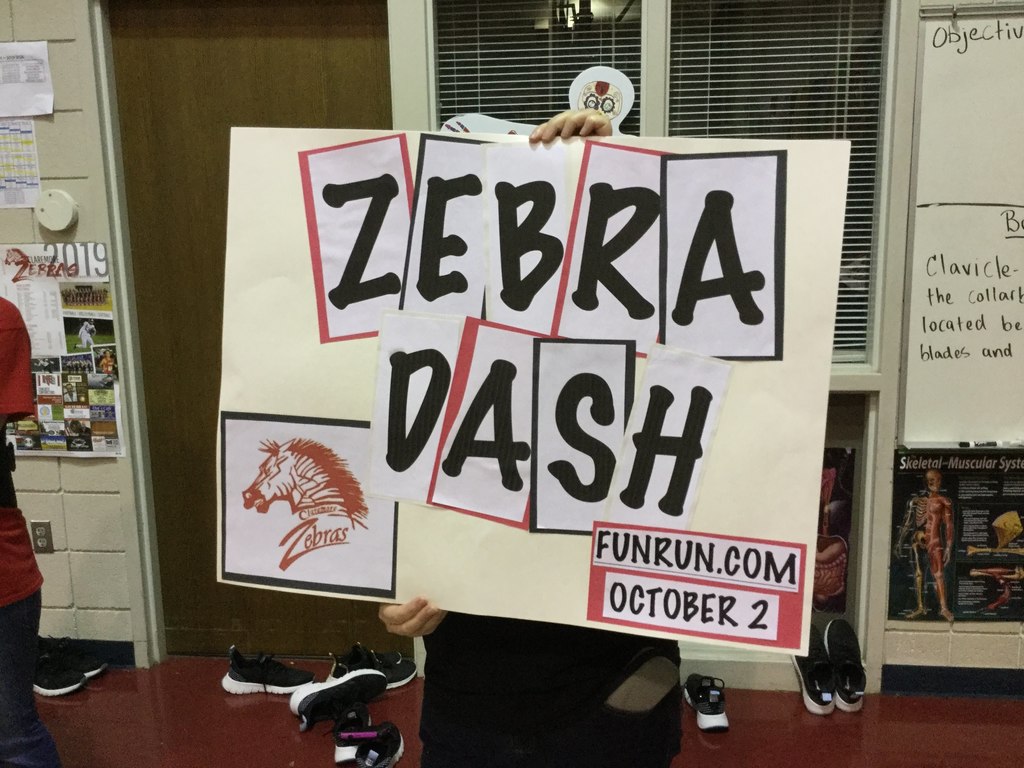 Zebra Dash