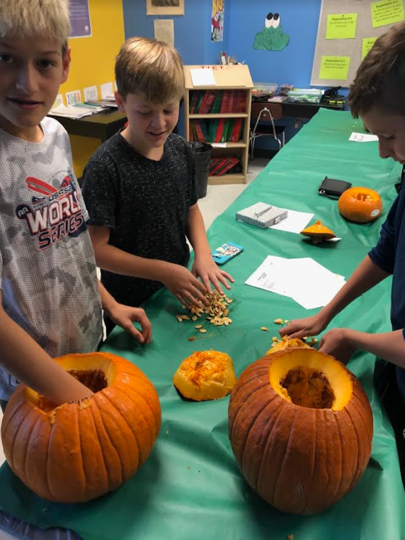 6th-grade science classes had a pumpkin lab