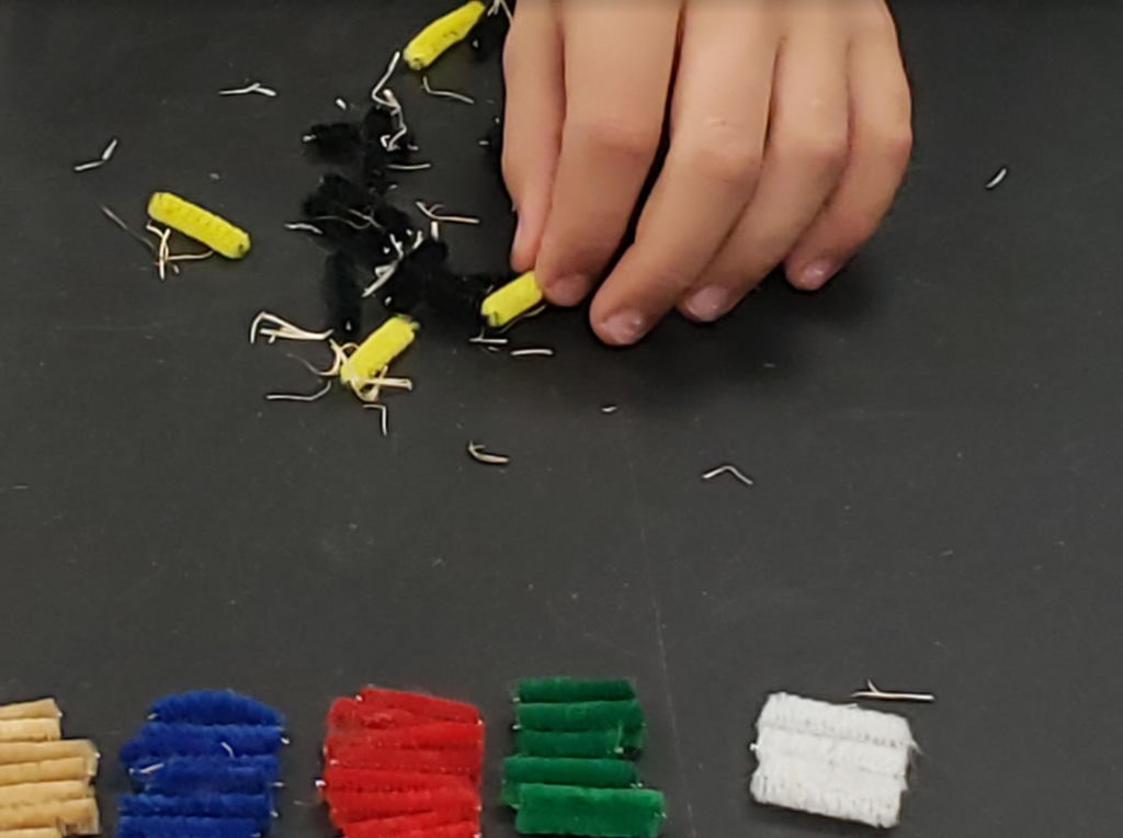 Mrs. Boyd's 7th-grade science class is studying adaptations in organisms.