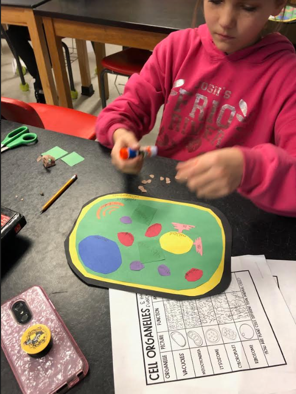 Mrs. Tietz's science classes are creating cell structures 