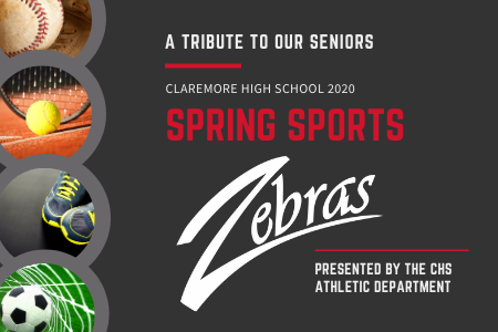 Spring Sports Seniors Tribute